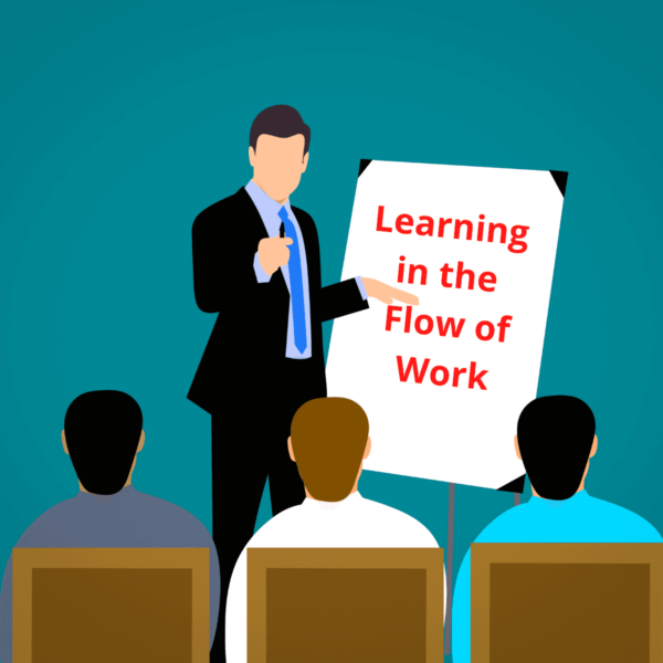 Learning in the Flow of Work