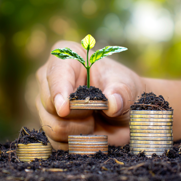 sustainable growth strategies sustainable growth