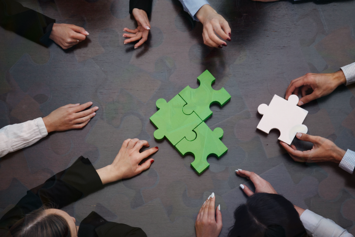 performance puzzle (1)