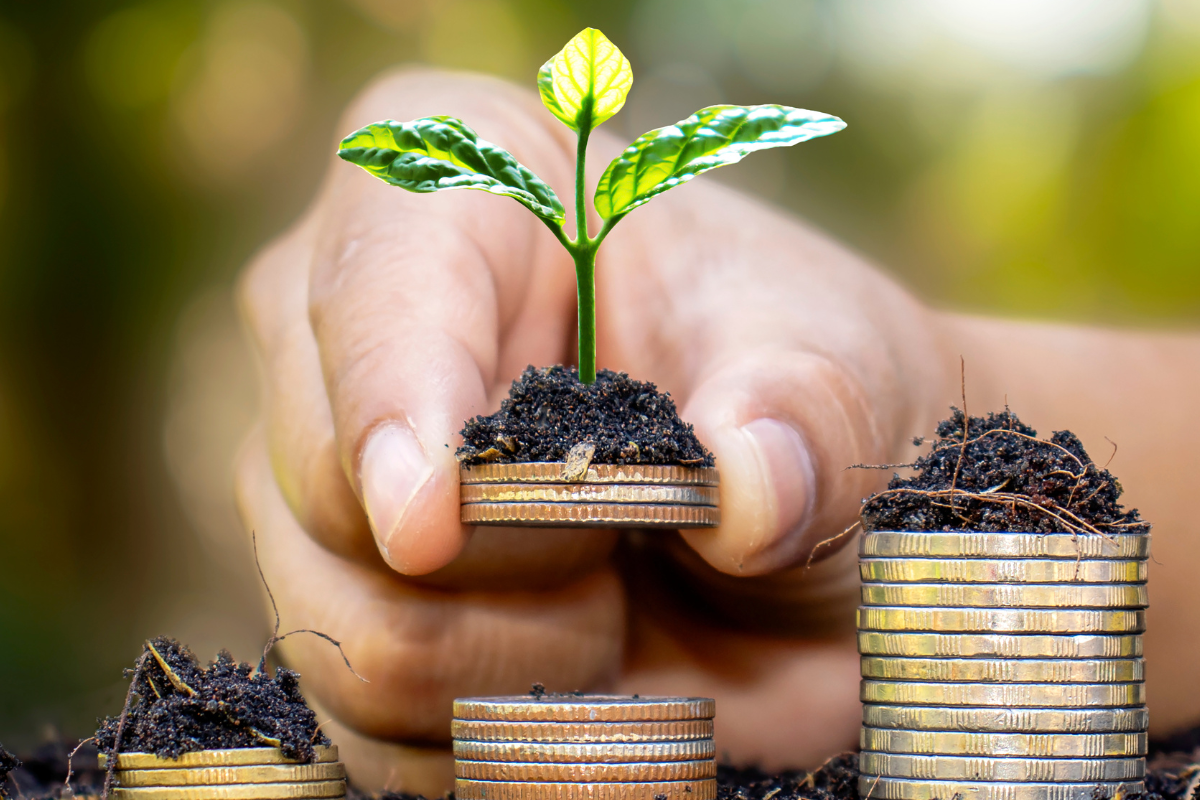 sustainable growth